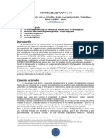 Tratamiento Prueba Nuevo Codigo Procesal Penal Peru 2010