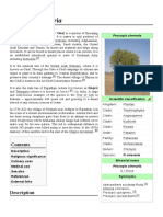 Prosopis Cineraria PDF