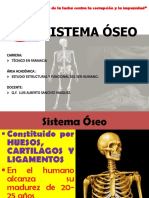 1.3. Sistema Óseo PDF