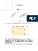 Cortisol: propiedades y estructura de esta hormona glucocorticoide