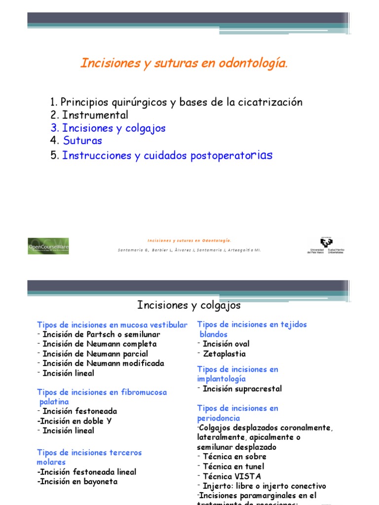 Tipos de Incisiones en Odontología | PDF | Odontología | Boca