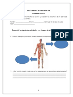 Sistema Muscular Guía 2