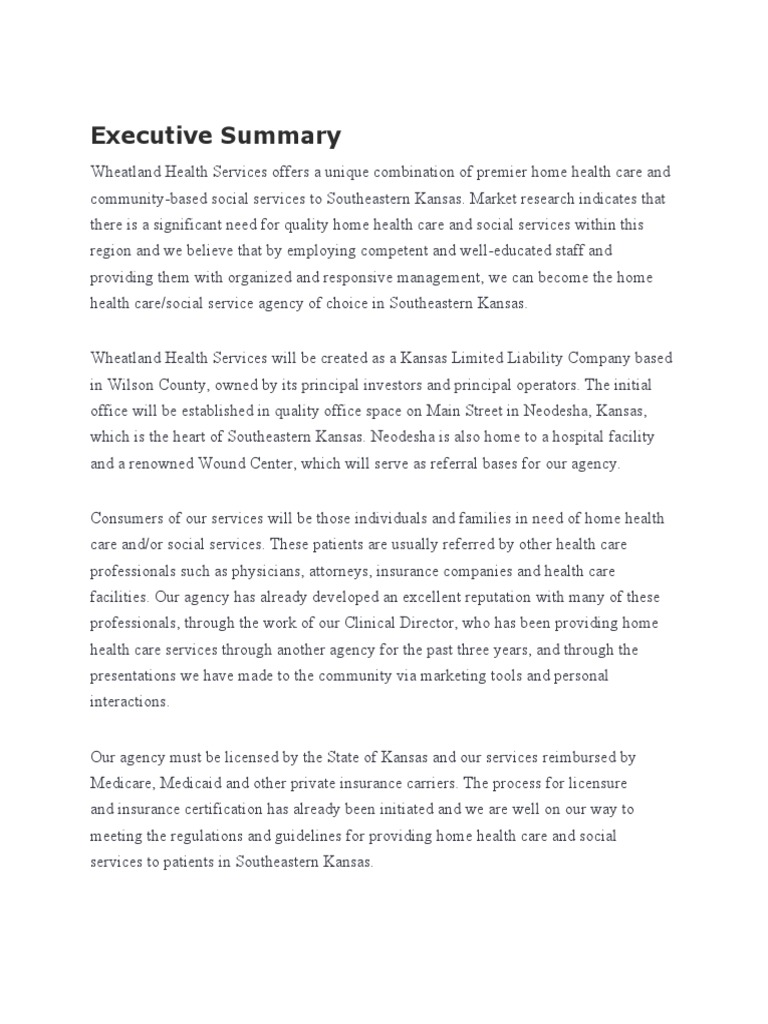 Business Plan | PDF | Balance Sheet | Nursing Home Care