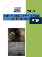 PETS Formato