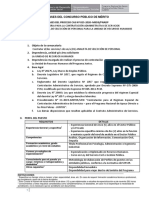 Bases Cas #025-2020 - Analista de Seleccion Urh PDF