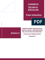 ANEXO 2_Guia_pedagogica_Resumen_CTE