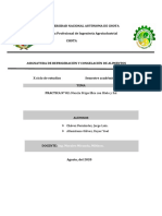 Mezcla Frigorífica con Hielo y Sal: Práctica N° 02 de Refrigeración y Congelación de Alimentos