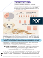 Análisis de Mercado PDF