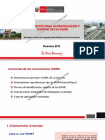 Lineamientos_IOARR.pdf