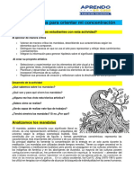 Los Mandalas PDF