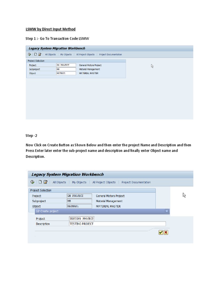 LSMW by Direct Input Method | PDF | Menu (Computing) | Button (Computing)