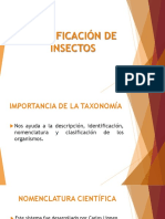 CLASIFICACION DE INSECTOS