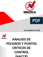 PLANTILLA 2019 Análisis de Peligros y Puntos Críticos de Control (HACCP)2