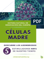 Ebook Células Madre y Nrf2.01 PDF
