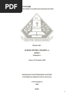 Download PRAKTIKUM VOLUME DAN KAPASITAS PARU DENGEN SPIRO by Selvi Sefty SN47173860 doc pdf