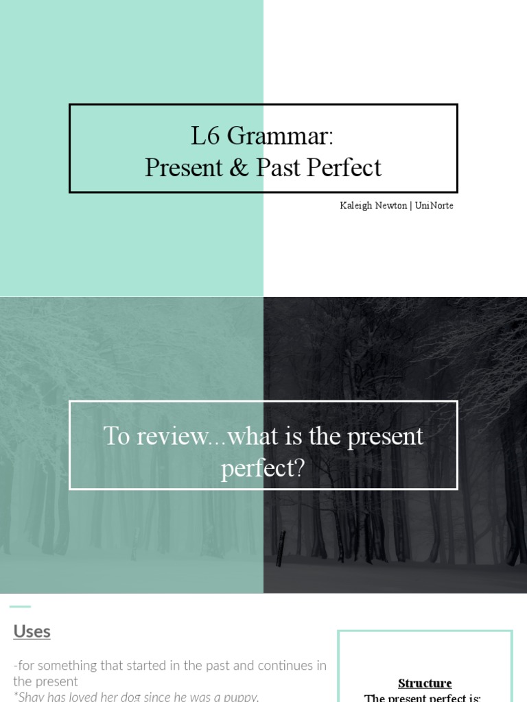 L6 Grammar Present Perfect | PDF | Verb | Language Mechanics
