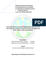 Caracterización de Plagas y Enfermedades