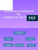 Hierarchical Diagram of The