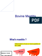 Bovine Mastitis