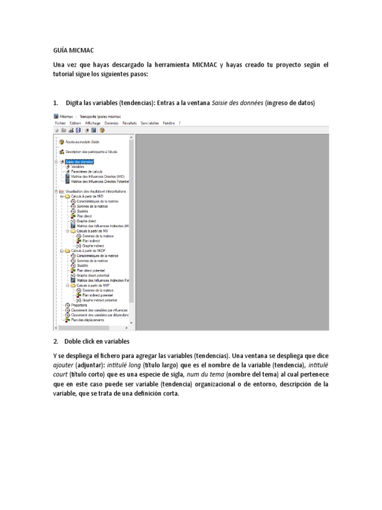 Guía de Uso de MICMAC para Escenarios | PDF | Matriz (Matemáticas ...