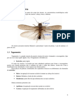 40772133-Apostila-Entomologia-Geral.pdf