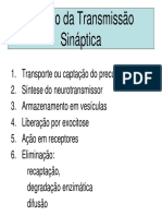 Modelo da Transmissão Sináptica em