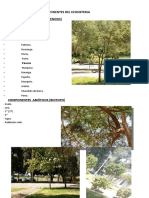 Componentes Del Ecosistema