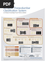 AOSpine Thoracolumbar Classification System - Poster PDF