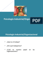 Psicologia Industrial Organizacional