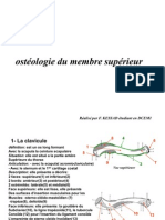 Ostéologie Du Membre Supérieur