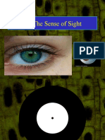 1.6 The Sense of Sight