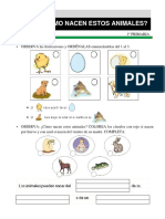Temas Del 11 Al 20 PDF