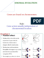 Chromosomal Evolution: Genes Are Found On Chromosomes