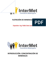 Flotación de Minerales.pdf