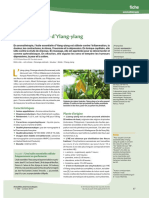 Article HE de YLANG YLANG ANNEE 2019 PDF