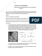 Practica Montaje Modelo Bajo El Estereoscopio 2020-1 PDF