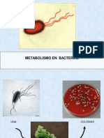 2MTClase Metabolismo Bacteriano..pdf
