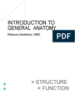 Introduction To General Anatomy: Rebecca Santelices, DMD