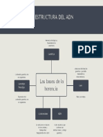 Las Bases de La Herencia PDF