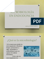MICROBIOLOGÍA EN ENDODONCIA GONZALO R Y SOFIA Actulizado.pptx