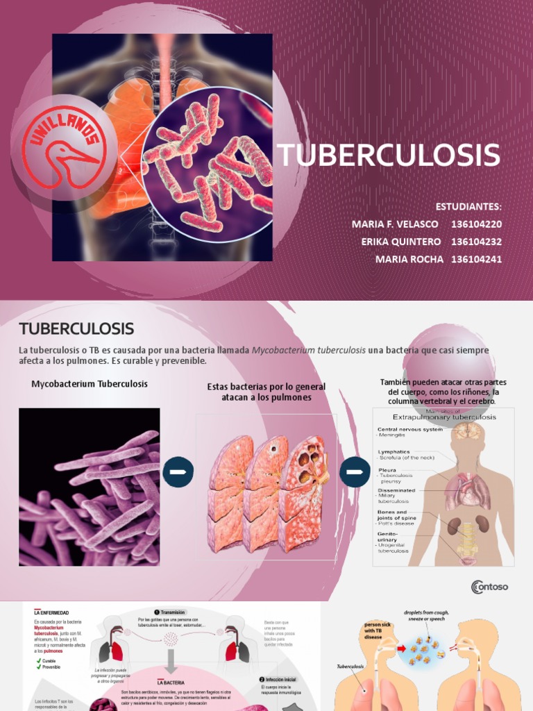 Tuberculosis: Tipos y Tratamiento | PDF | Tuberculosis | Macrófago