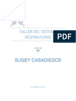 Taller Sistema Repiratorio