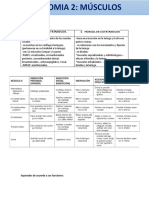 musculos de anatomia 2.docx