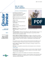 Circular132 PDF