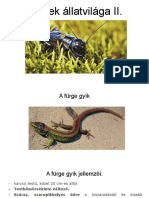 A Rétek Állatvilága II PDF