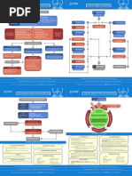 ACLS Protocols Pocket Version