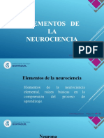Elementos de La Neurociencia
