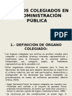 315505294-Organos-Colegiados-en-La-Administracion-Publica