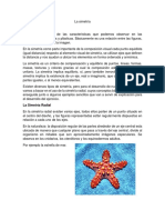 Guía Simetria Radial PDF