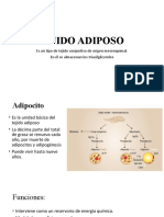 TEJIDO ADIPOSO BLANCO Y PARDO